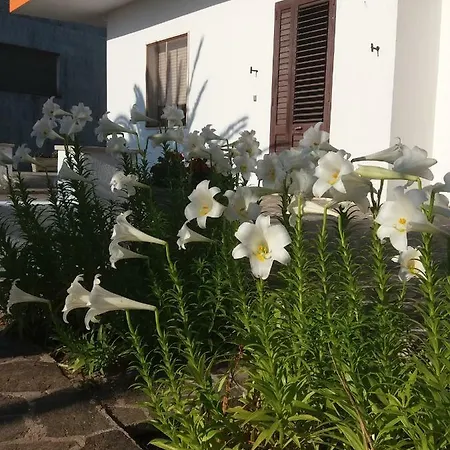 Villetta Nel Verde Guest house
